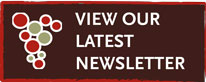 newsletter-buttonV1
